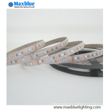 DC12V / DC24V 5050 RGBW SMD LED-Streifenlichter